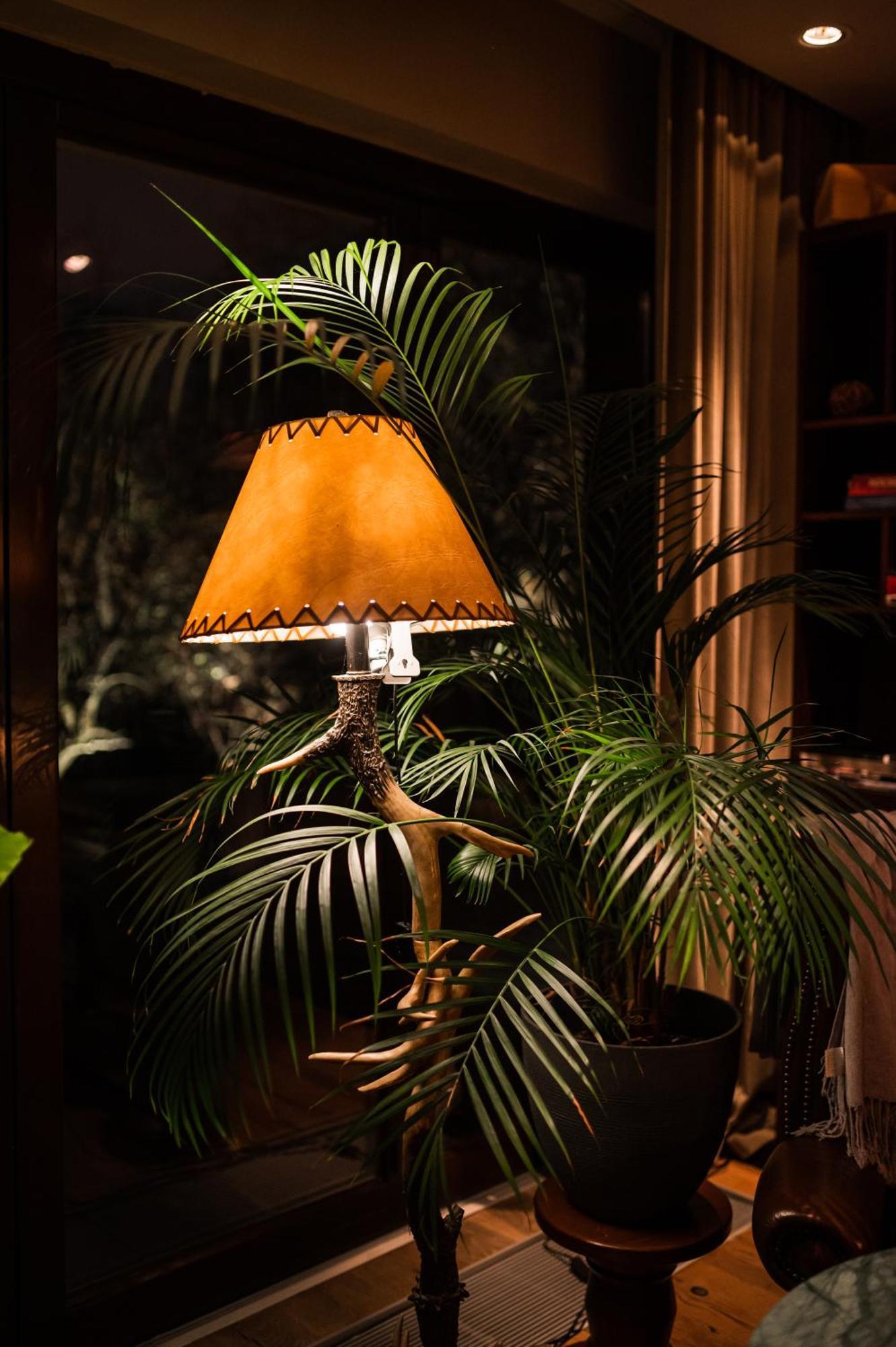 Le Petit Chalet - Artegianale Braşov Eksteriør bilde